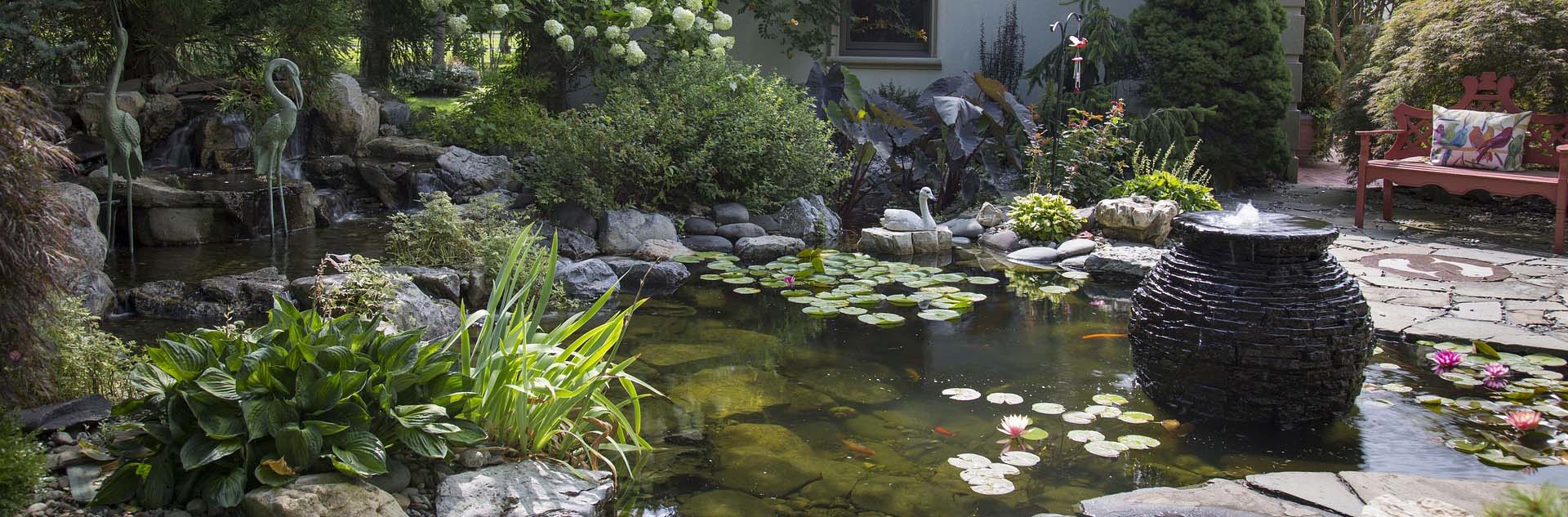 Fish Pond Cleaning and Maintenance Gold Coast, Goldfish Pond Cleaners